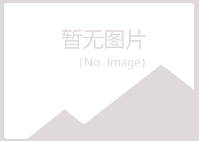 日照岚山含玉会计有限公司